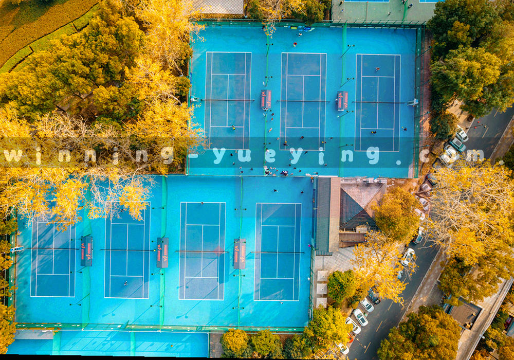 南京城市轮廓与数据线条交叠的抽象图形
